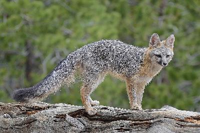 Prove ‘em Wrong - Liz vd Meer | Onder druk van de buitenwereld een modellencarrière najagen