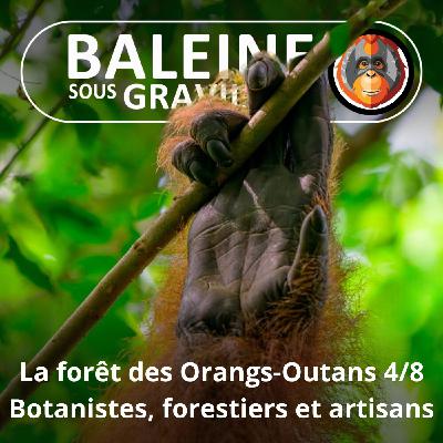 S07E116 Les Orangs-Outans 4/8 : Botanistes, forestiers... et bricolos (Emmanuelle Grundmann)