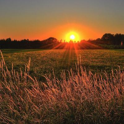 The White Robed Monk With No Face by Ira Progoff
