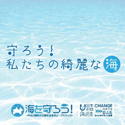 海鳥の環境保全について、バードライフインターナショナル主席海洋スペシャリスト鈴木康子さんの インタビュー⑥