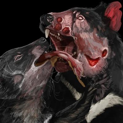 Tasmanian Devils: The Animal That Just Doesn't Make Sense