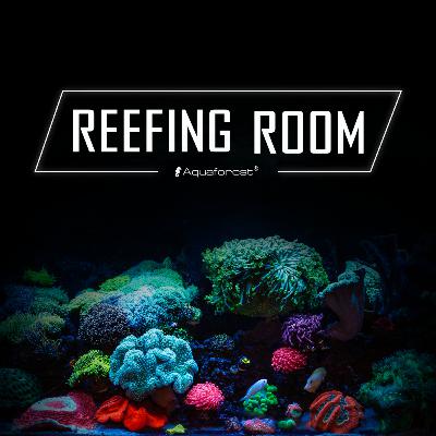 REEFING ROOM