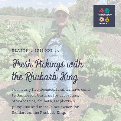 Fresh Pickings with Jan Sanderson of Sanderson Gardens