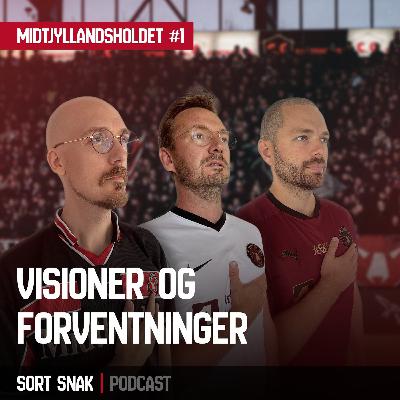 Midtjyllandsholdet #1: Visioner & forventninger