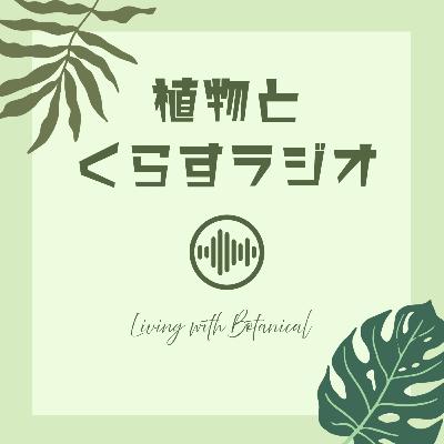 #4 蒸散の仕組みとモンステラ