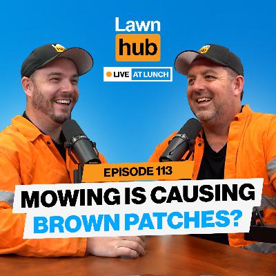 Why is my mowing causing brown patches | Lawnhub Live EP113
