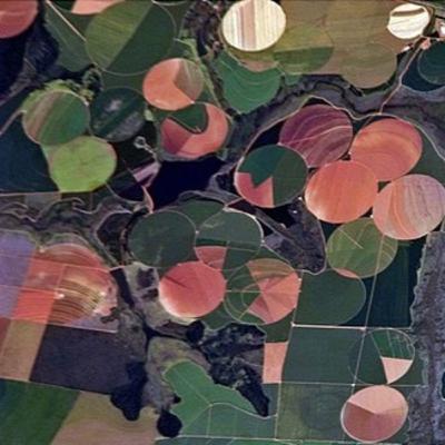 Sojicultura e inserção geoeconômica brasileira Sojicultura e inserção geoeconômica brasileira