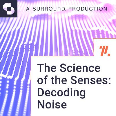 Decoding Noise Decoding Noise