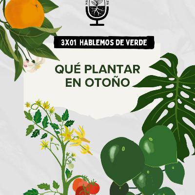 Qué plantar en otoño | 3x01 | Hablemos de verde