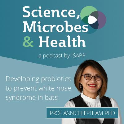 EE569 MK ปะทะ ตี๋น้อย สงครามสุกี้ หรือสงครามราคา? EE569 MK ปะทะ ตี๋น้อย สงครามสุกี้ หรือสงครามราคา?