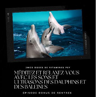 Épisode Bonus de Rentrée: relaxez-vous ou méditez grâce aux ultrasons des baleines et des dauphins