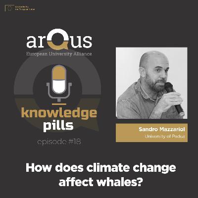 #18: How does climate change affect whales?