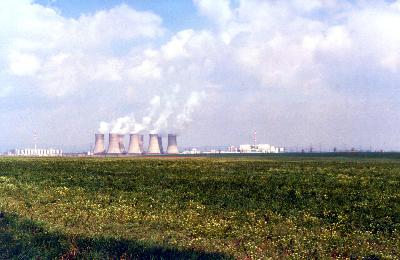 Exploring nuclear energy opportunities in Wisconsin; Death cap mushroom research; Wood turtle conservation Exploring nuclear energy opportunities in Wisconsin; Death cap mushroom research; Wood turtle conservation