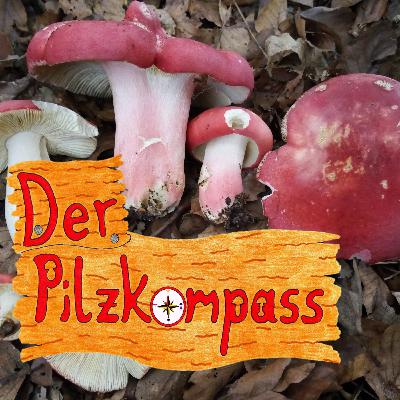 Ankündigung Reduzierung
