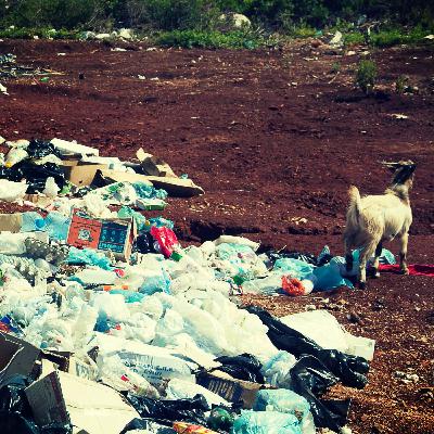 Reality og annet tull