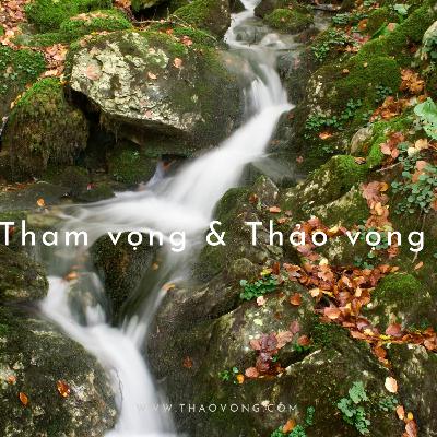 Tham vọng vs Thảo vọng Tham vọng vs Thảo vọng