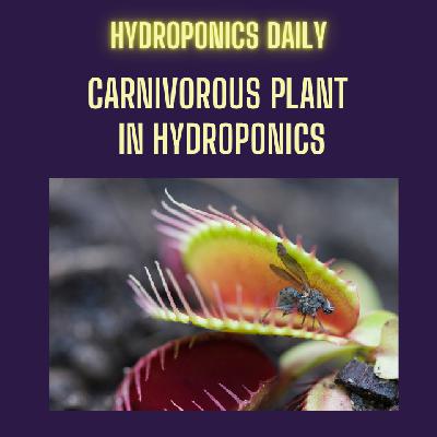 Hydroponic Carnivores: Growing Venus Flytraps and Other Carnivorous Plants Without Soil