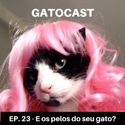Ep. 23 - E os pelos do seu gato?
