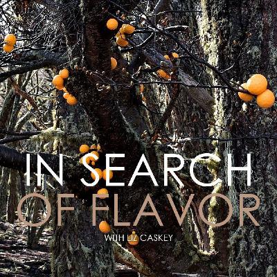Episode 37: How Fungi & Regenerative Farming Can Save Us  (re-release)