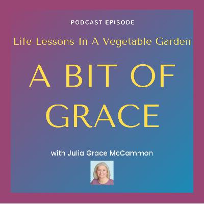 Life Lessons In A Vegetable Garden