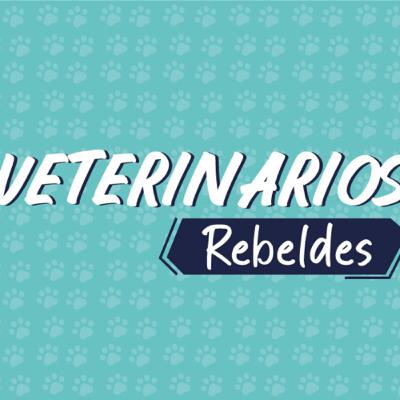 Veterinarios Rebeldes Episodio 5 - Hablemos de salud dental en nuestras mascotas