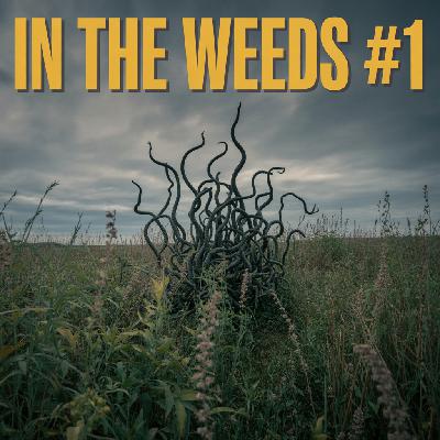 In The Weeds: Episode 1 In The Weeds: Episode 1