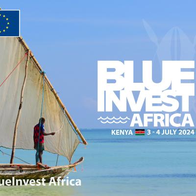 BLUE INVEST AFRICA : TRANSFORMATIVE VENTURES & SUSTAINANBLE SOLUTIONS.