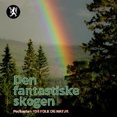 Den fantastiske skogen