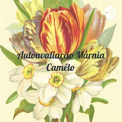 Autoavaliação sobre a disciplina de Metodologia Comunitária - GDL - IFRN