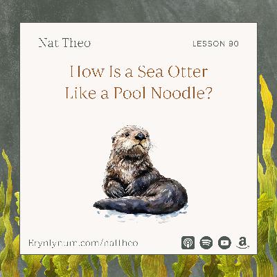 How Is a Sea Otter Like a Pool Noodle? Lesson 90
