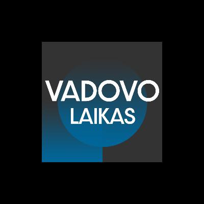 Vadovas ar lyderis: ką galim išmokt iš karybos? Interviu su Linu Idzeliu ištrauka