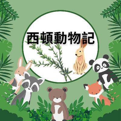 ［聽故事］08《西頓動物記》之棉尾兔破耳（下）🐇｜小學生可不可以有金錢交易呢？