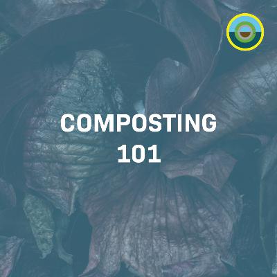 Composting 101