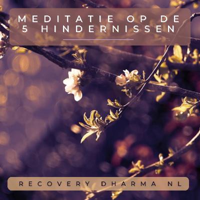 Meditatie op de 5 Hindernissen Meditatie op de 5 Hindernissen