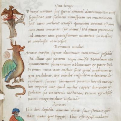 Episode 5: Sonja Drimmer on Hieroglyphs, the wonder of creativity, and the Abduction of Ganymede