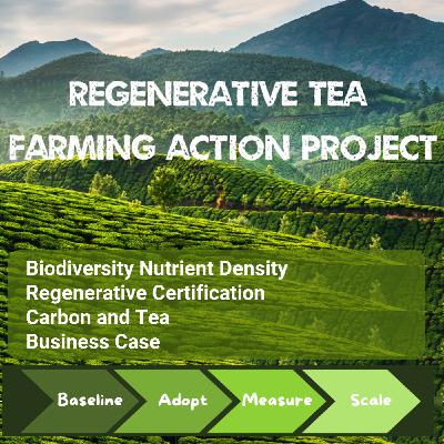 Spotlight | The Regenerative Tea Action Project