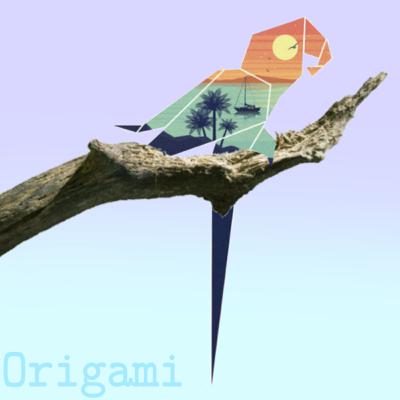 Origami paper folding mastery