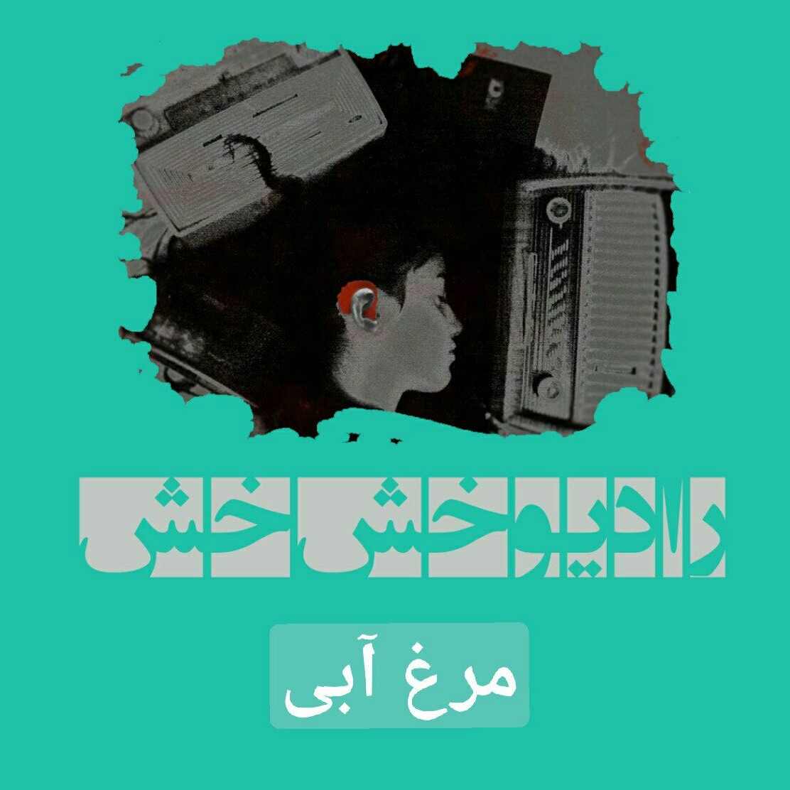 مرغ آبی