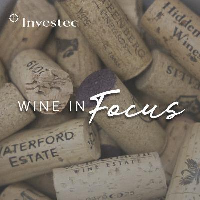 Wine in Focus Ep 5 | Vinnovation: The future of sustainable wines