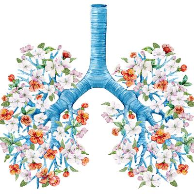 HƠI THỞ: những điều bạn chưa biết, cách thở đúng và tập thở sâu