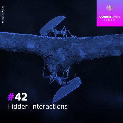 Hidden interactions