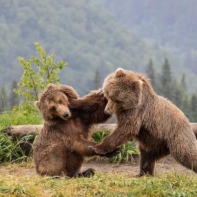 ¡No sé qué hacer! Lucha De Voluntades