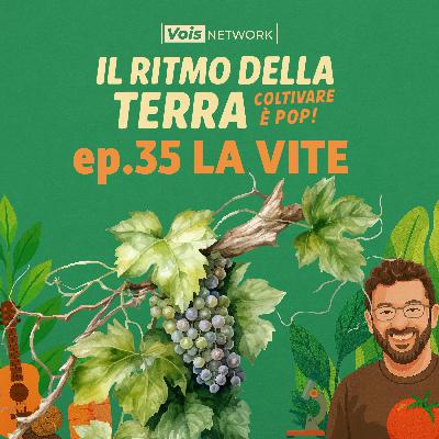 Ep 35 - La vite