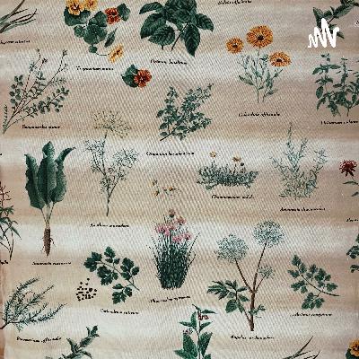 1013.瑞幸会是明天的星巴克吗? 1013.瑞幸会是明天的星巴克吗?