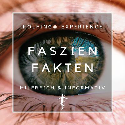 Faszien Fakten #1 - Was wir mit den Augen sehen können