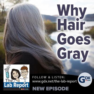 Why Hair Goes Grey
