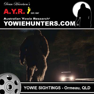 Yowie Sightings at Ormeau, 2017 + Others