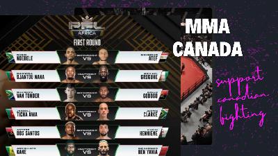 Rafael Fiziev Sparring Partner on UFC Baku win, PFL Africa 1 Bout, and More