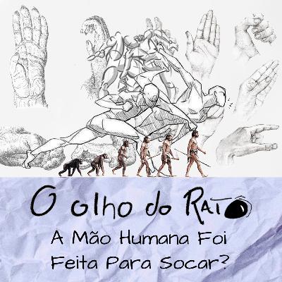 A mão humana foi feita para socar?