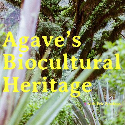Agave's Biocultural Heritage